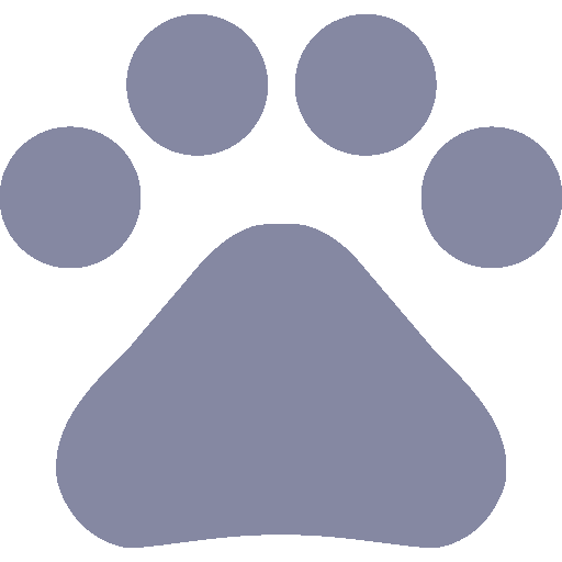 Animali domestici